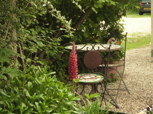 Twin Oaks Guest House Cadnam Esterno foto