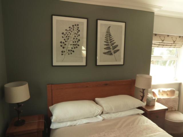 Twin Oaks Guest House Cadnam Esterno foto