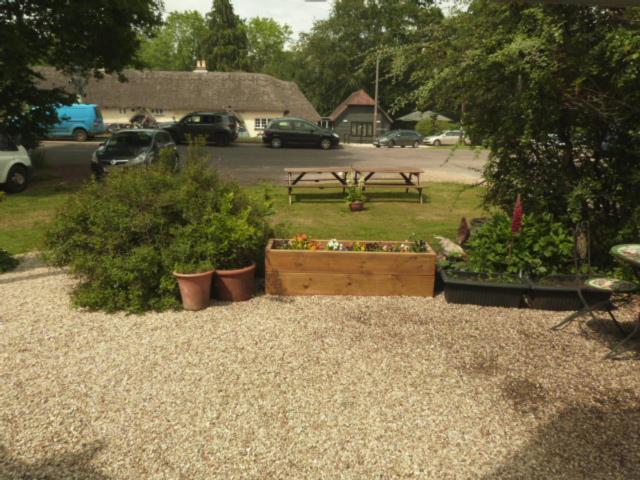 Twin Oaks Guest House Cadnam Esterno foto