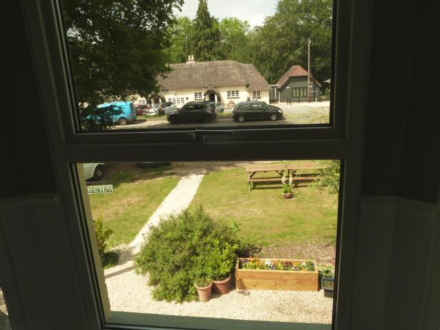 Twin Oaks Guest House Cadnam Esterno foto